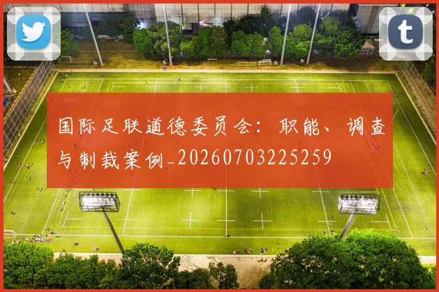 国际足联道德委员会：职能、调查与制裁案例_20260703225259