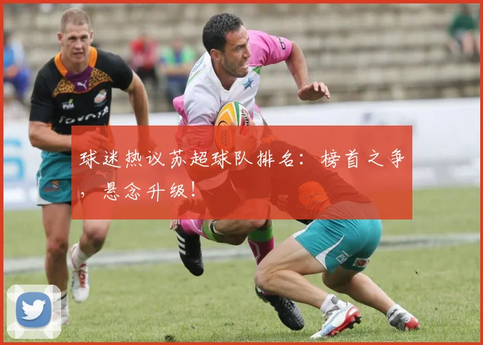 球迷热议苏超球队排名:榜首之争,悬念升级!
