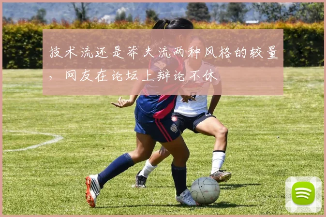 技术流还是莽夫流两种风格的较量，网友在论坛上辩论不休