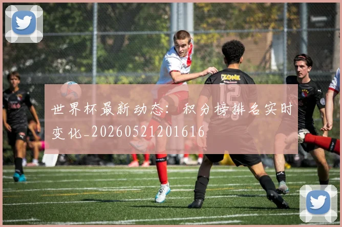 世界杯最新动态：积分榜排名实时变化_20260521201616